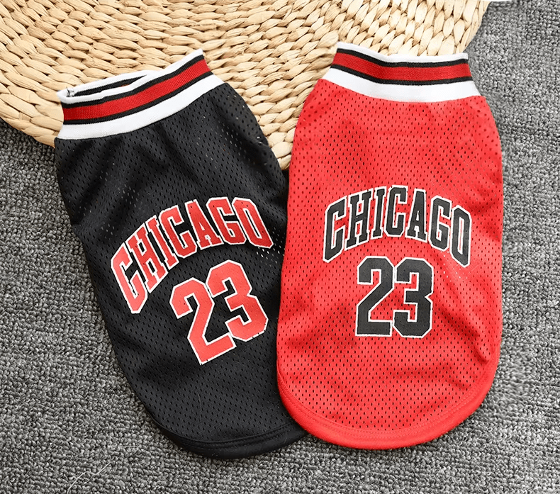 Dress Your Pup Like a Champion: NBA-Inspired Dog Jersey for Bulls Fans - PetLiveliest