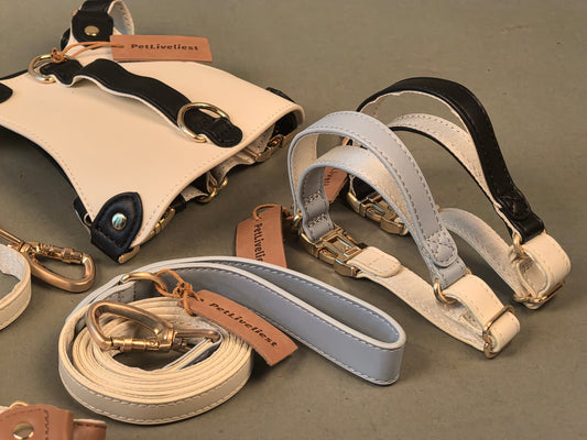 Luxury in Every Detail: The Suavitas Leather Dog Collar - PetLiveliest