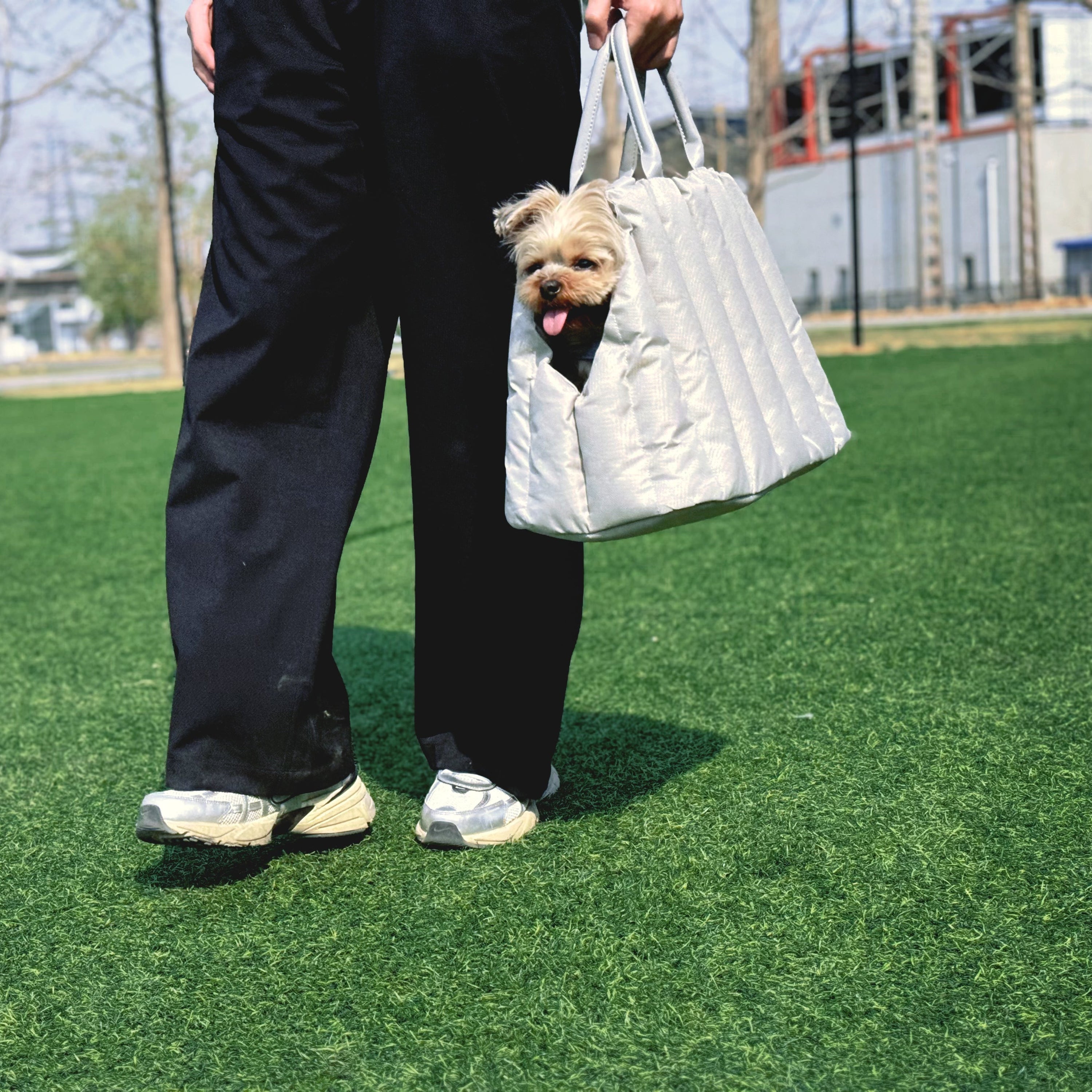 The Benefits and Uses of Pet Carriers: Elevate Your Pet’s Style and Comfort - PetLiveliest