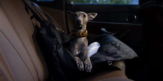 Travel in Style and Safety: The Navis Car Seat for Your Pet - PetLiveliest