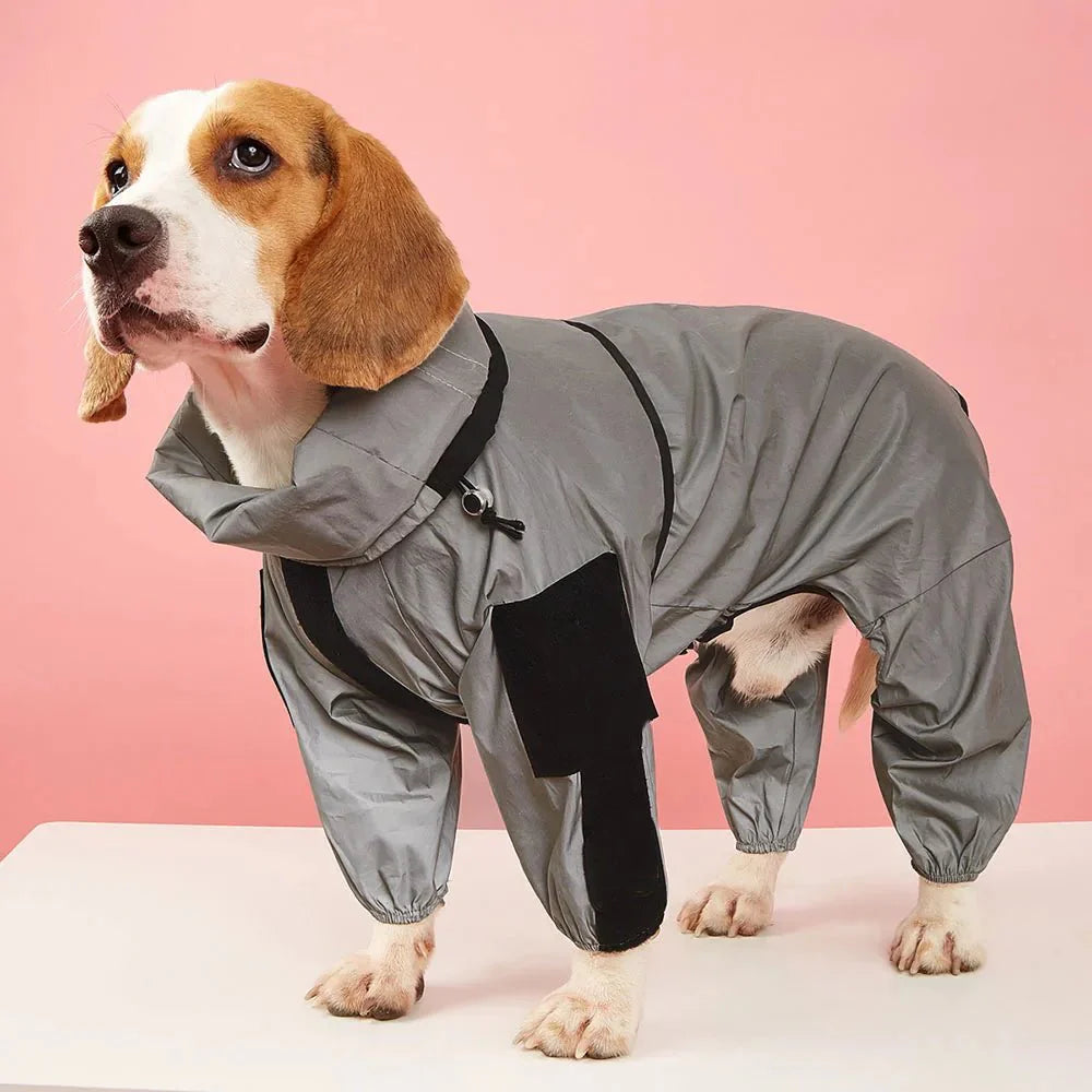 Dog Raincoats - PetLiveliest