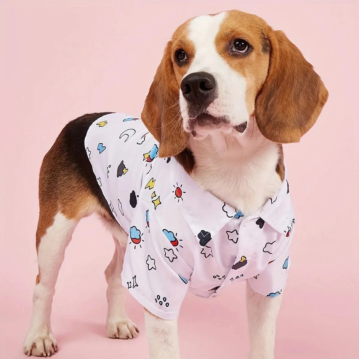 Dog Shirts - PetLiveliest