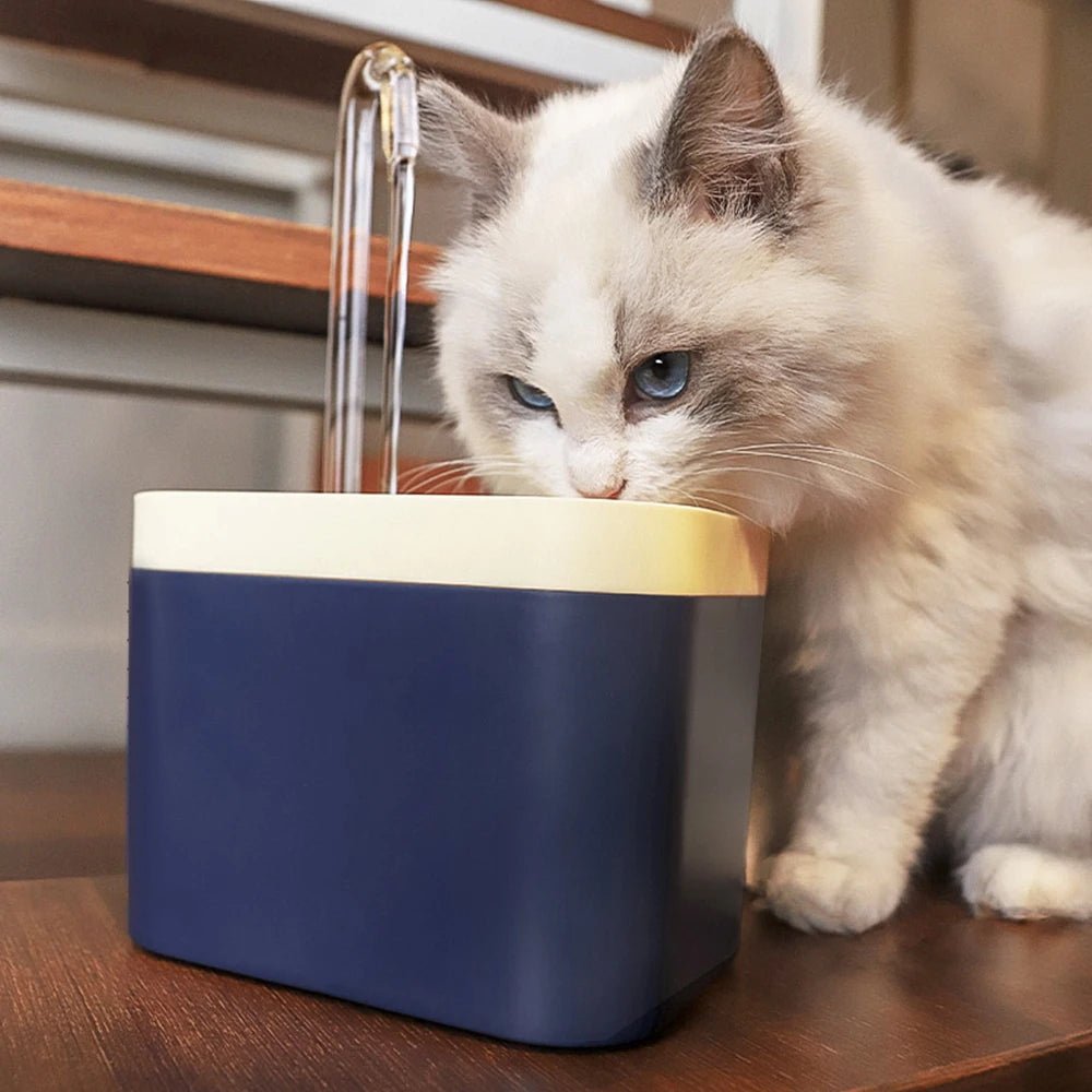 1.5L Automatic Pet Water Fountain USB - PetLiveliest - PetLiveliest - 15L - USB供电 - 宠物饮水器