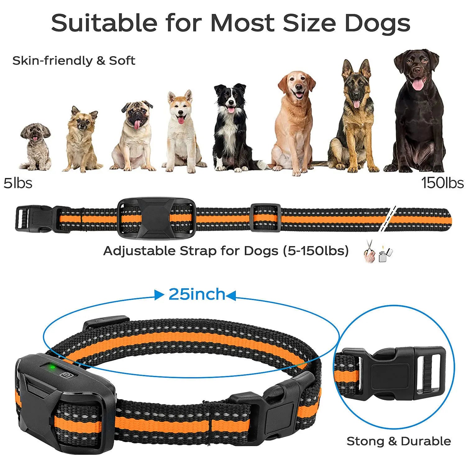 3300Ft Dog Training Collar with Remote Rechargeable Waterproof E Collar Beep Vibration Shock High Quality Pet Training - PetLiveliest - Blue - PetLiveliest