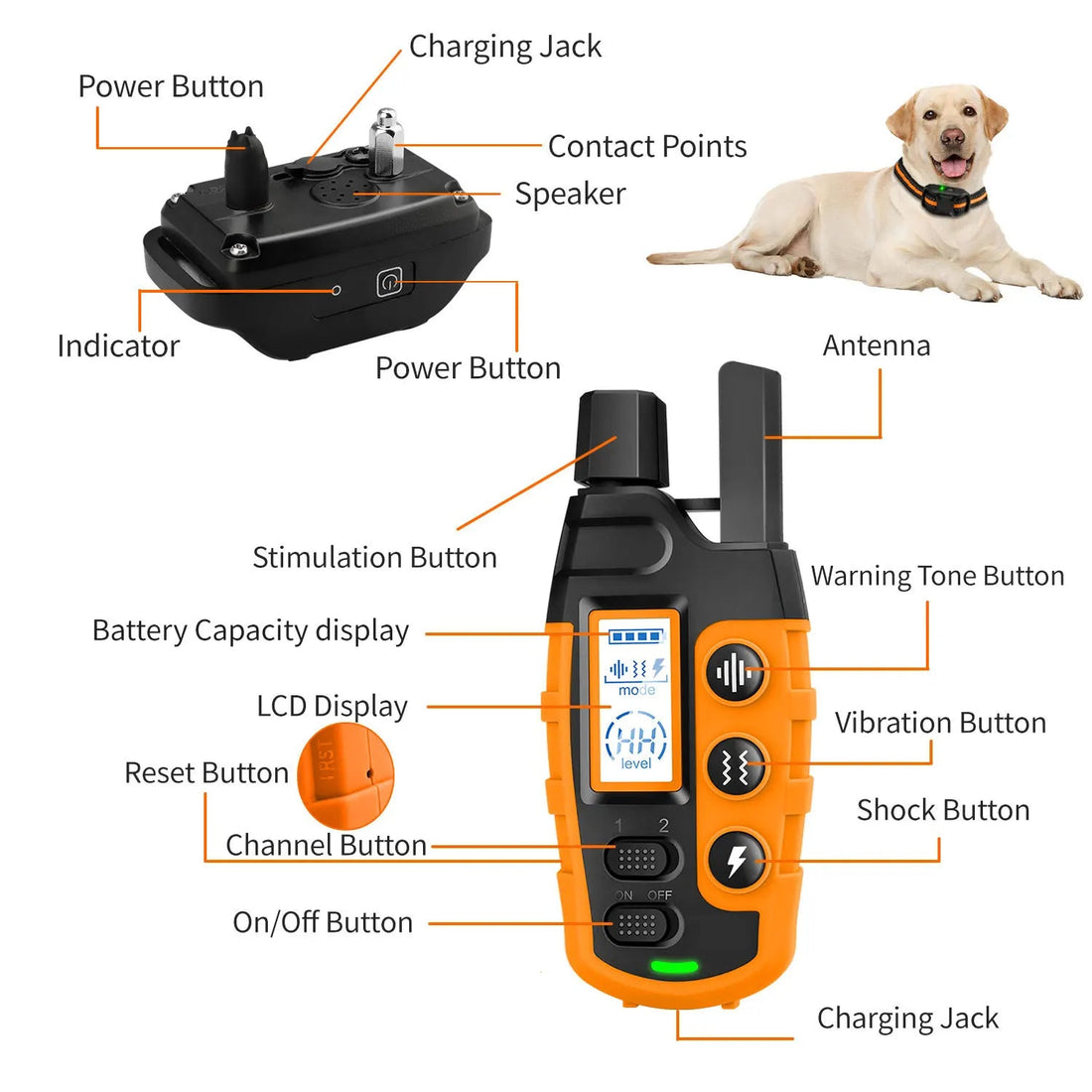 3300Ft Dog Training Collar with Remote Rechargeable Waterproof E Collar Beep Vibration Shock High Quality Pet Training - PetLiveliest - PetLiveliest