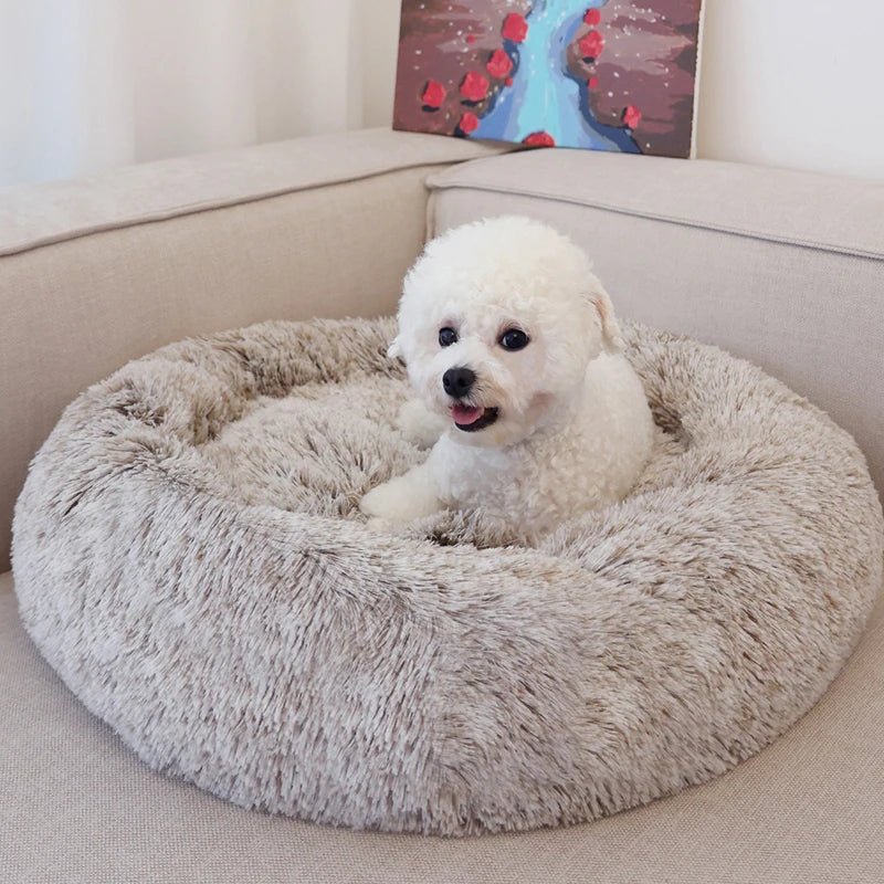 40 - 90cm Fluffy Dog Bed For Large Round Dog Bed Super Soft Cat House Plush Cat Nest Winter Warm Dog Pet Bed - PetLiveliest - Diameter 40cm - gradient light gray - PetLiveliest