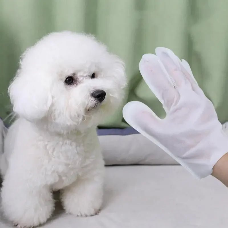 6 PCS Dog Body Wipes No Rinse Washing Gloves Gloves 便携 宠物擦拭 宠物美容 无漂白剂 清洁手套 PetLiveliest