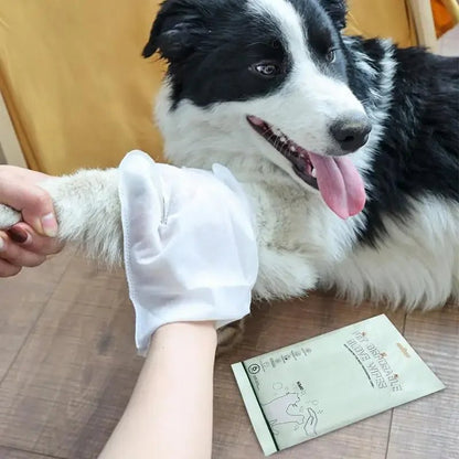 6 PCS Dog Body Wipes No Rinse Washing Gloves Gloves 便携 宠物擦拭 宠物美容 无漂白剂 清洁手套 PetLiveliest