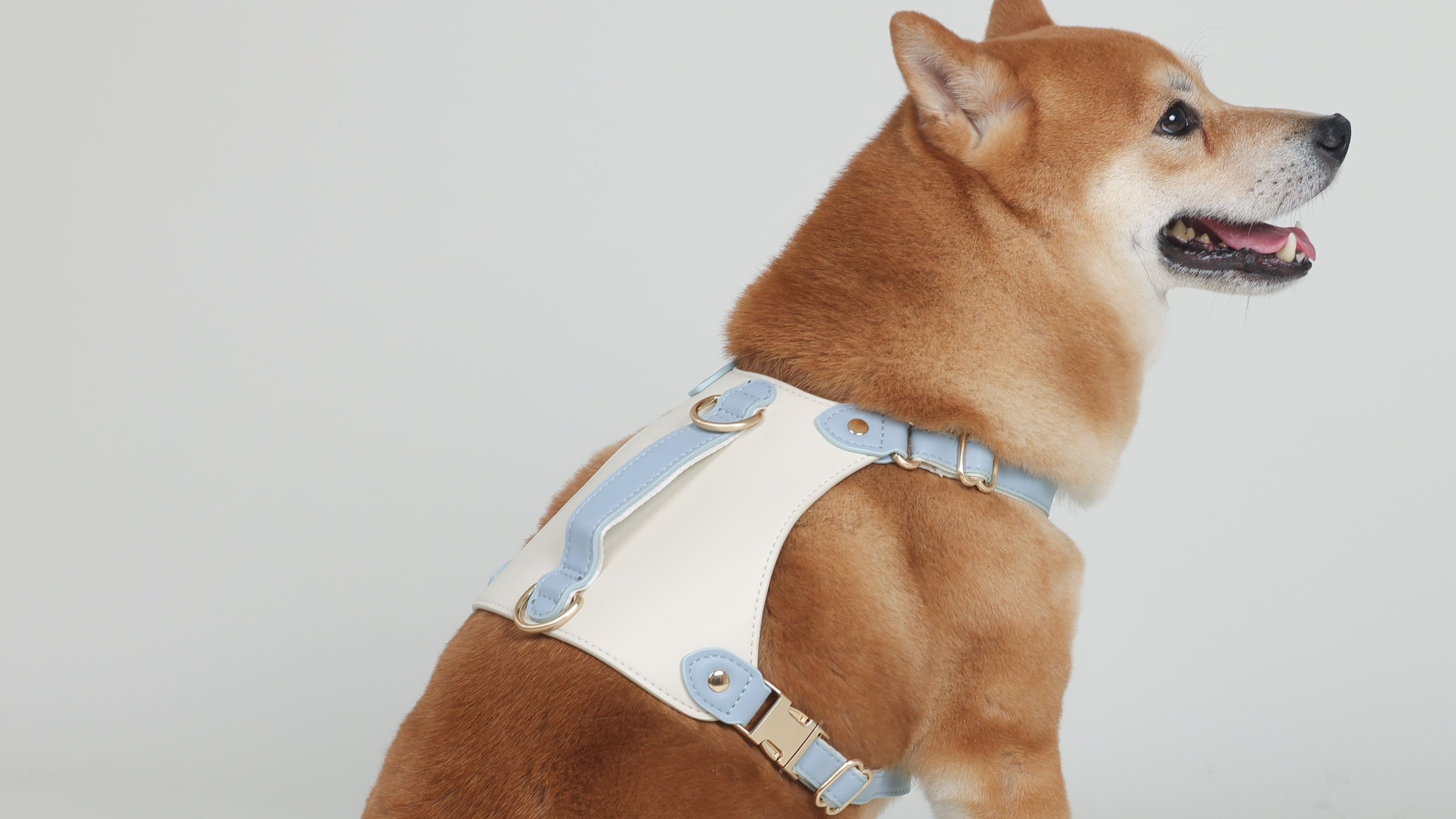 Petliveliest - Eques Harness - Dog Harness - Modern - Comfortable - Flexible - Haze Blue - Moisture-Resistant - No-Pull Design