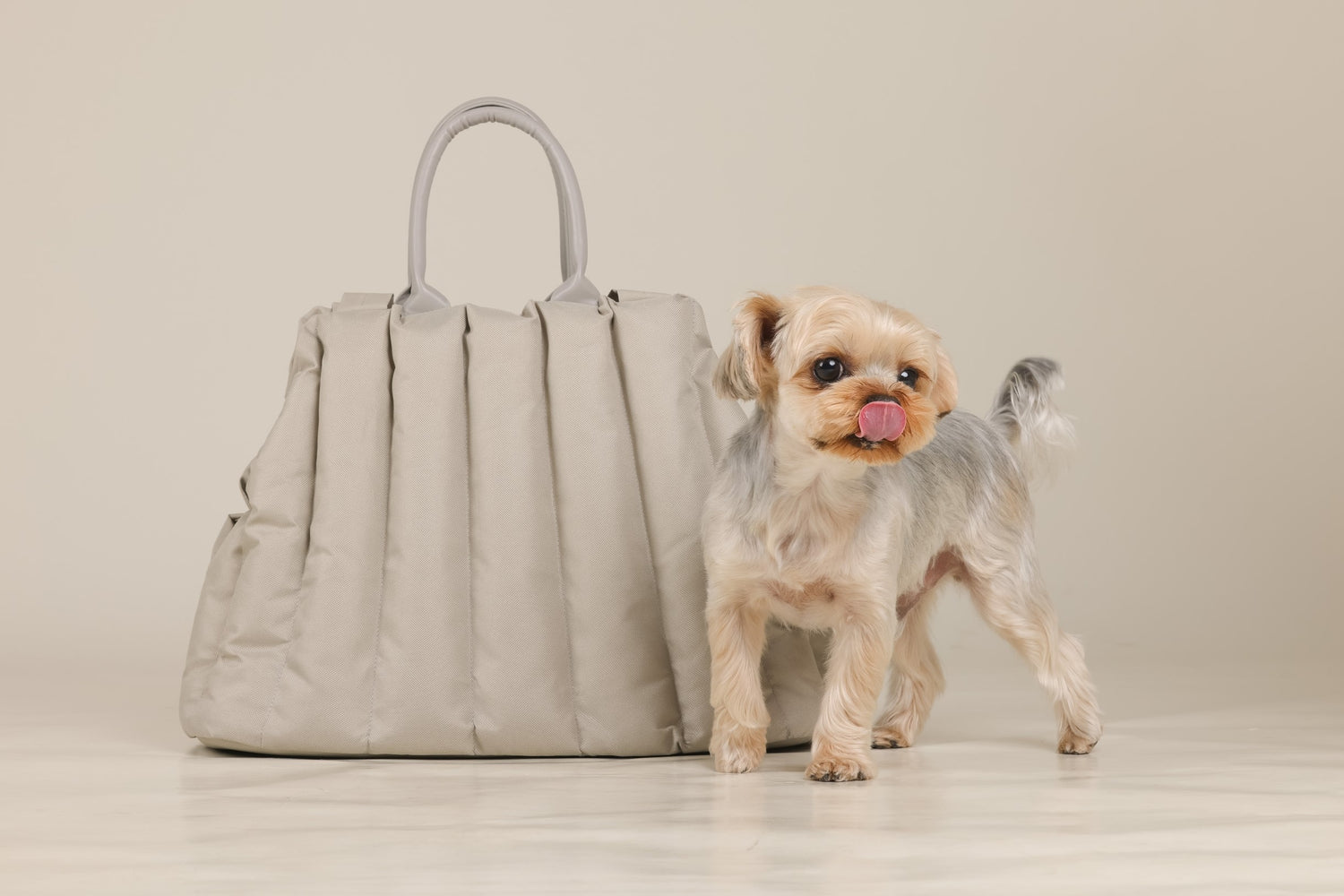 Sleek Petliveliest carrying bag in light gray, perfect for comfortable and secure pet transport.