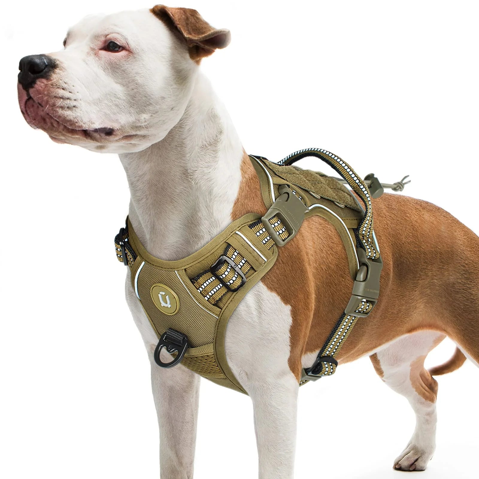 Adjustable Tactical Dog Harness for Medium Large Dogs - PetLiveliest - PetLiveliest - 中大型犬 - 可调节 - 战术