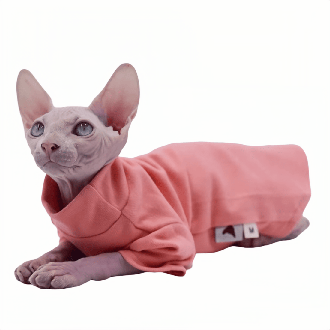 All SeasonPure Comfort Cotton Turtleneck Shirt - PetLiveliest - PetLiveliest - 