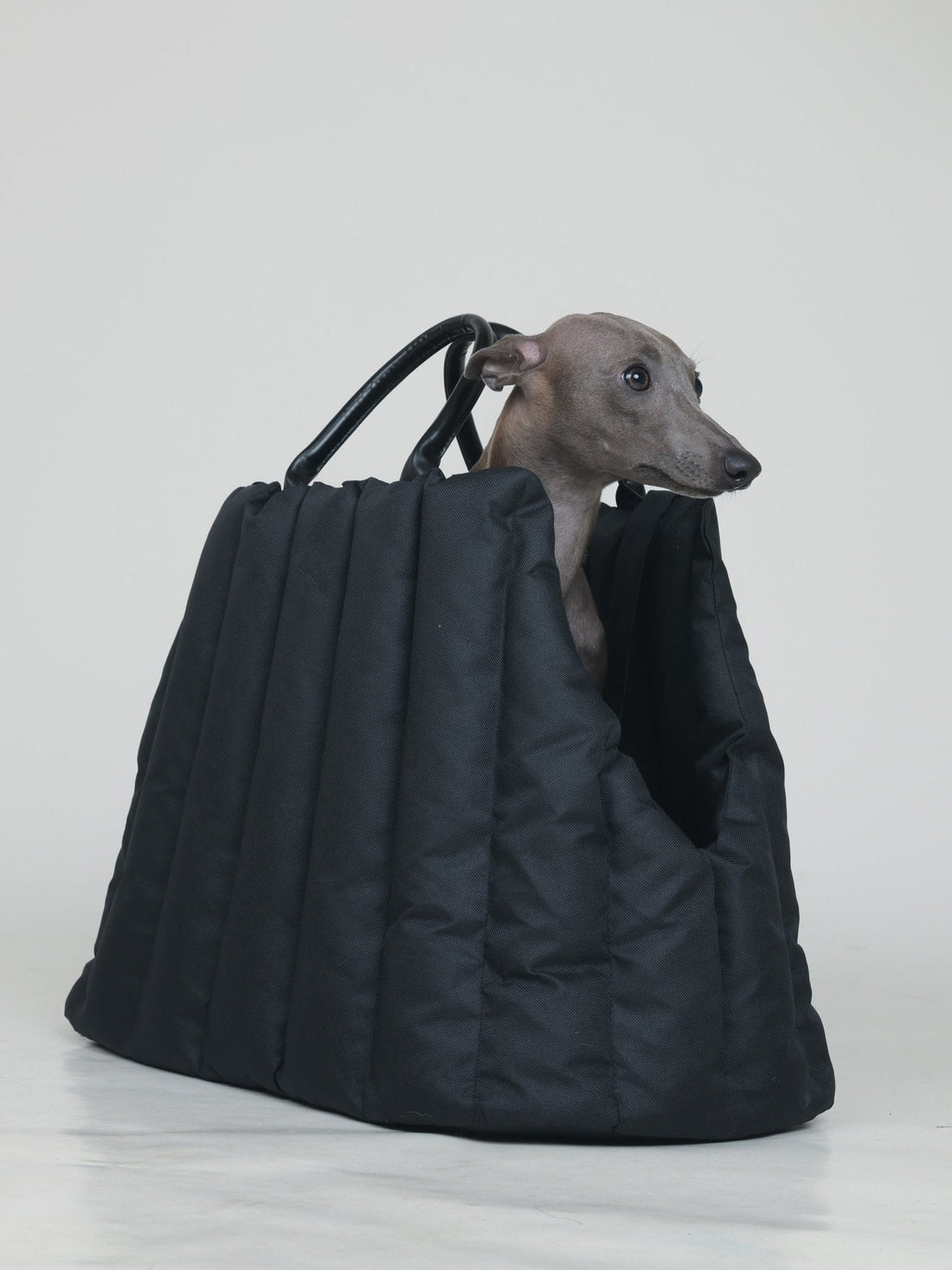 AMBULATIO CARRYING BAG - JET BLACK - PetLiveliest - PetLiveliest