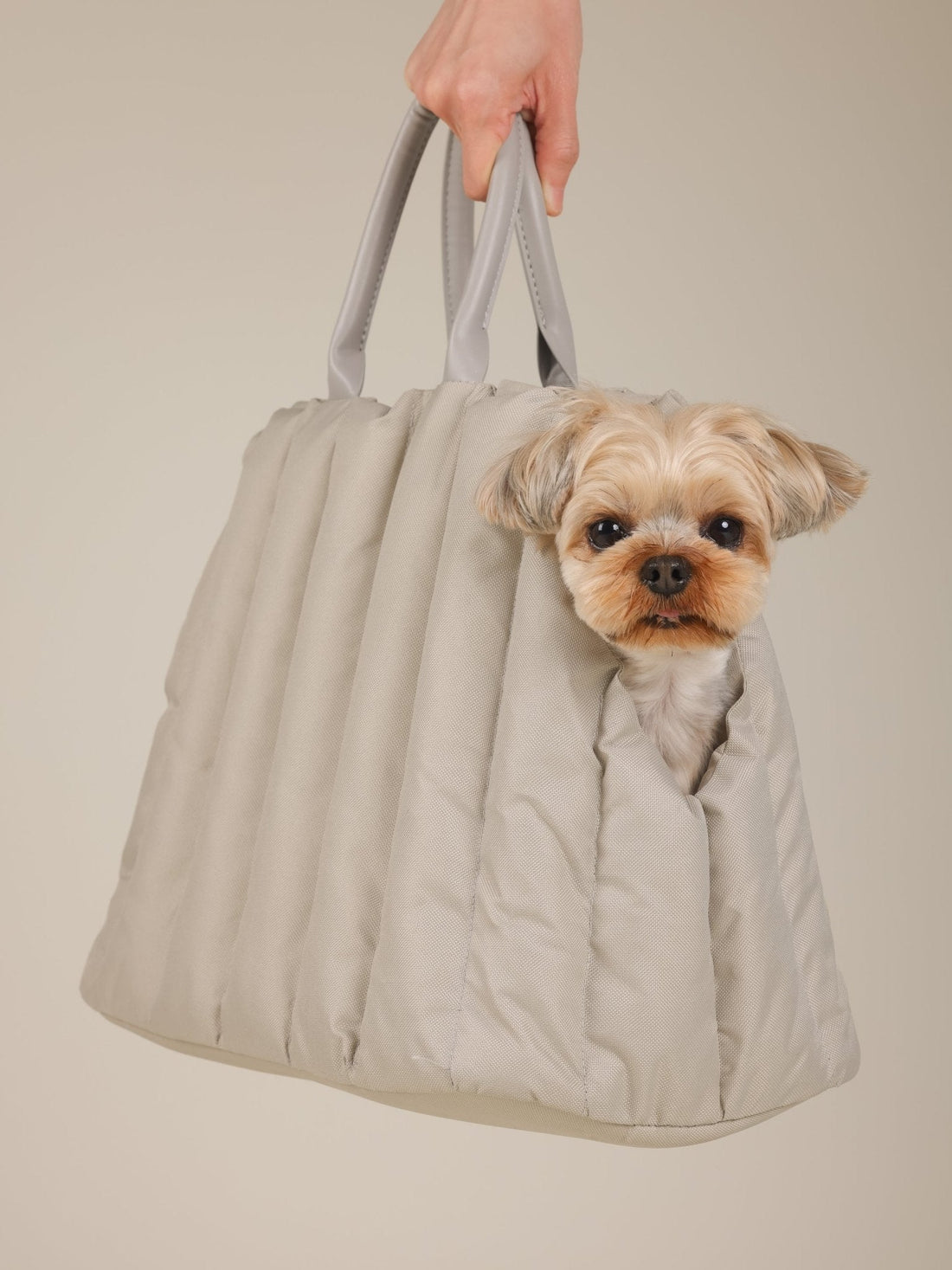 AMBULATIO CARRYING BAG - LIGHT GRAY - PetLiveliest - PetLiveliest