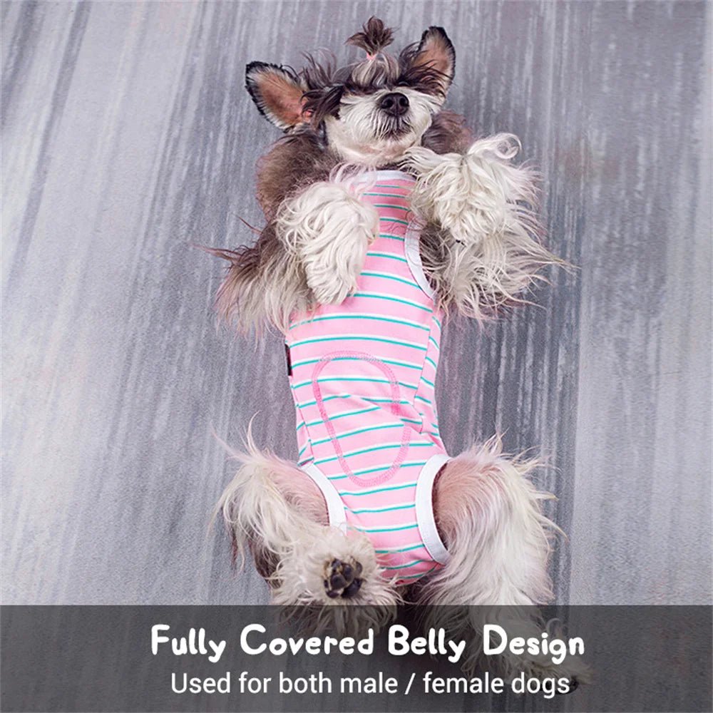 Anti - Licking Diaper Sanitary Panties Jumpsuit - PetLiveliest - PetLiveliest