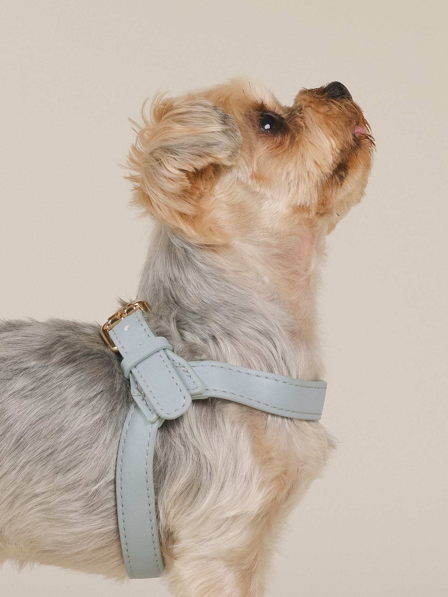 ARMA HARNESS - HAZE BLUE - PetLiveliest - PetLiveliest - Basic set - Car Booster Seat&amp;Harness - Harness