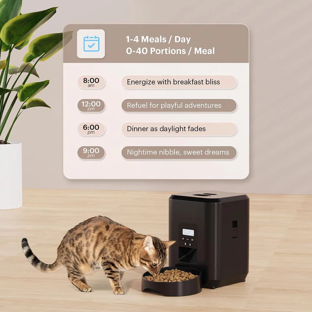 Automatic Smart Pet Feeder - 2L WiFi Cat Dog Bowl - PetLiveliest - PetLiveliest - WiFi - 定时定量 - 宠物喂食器