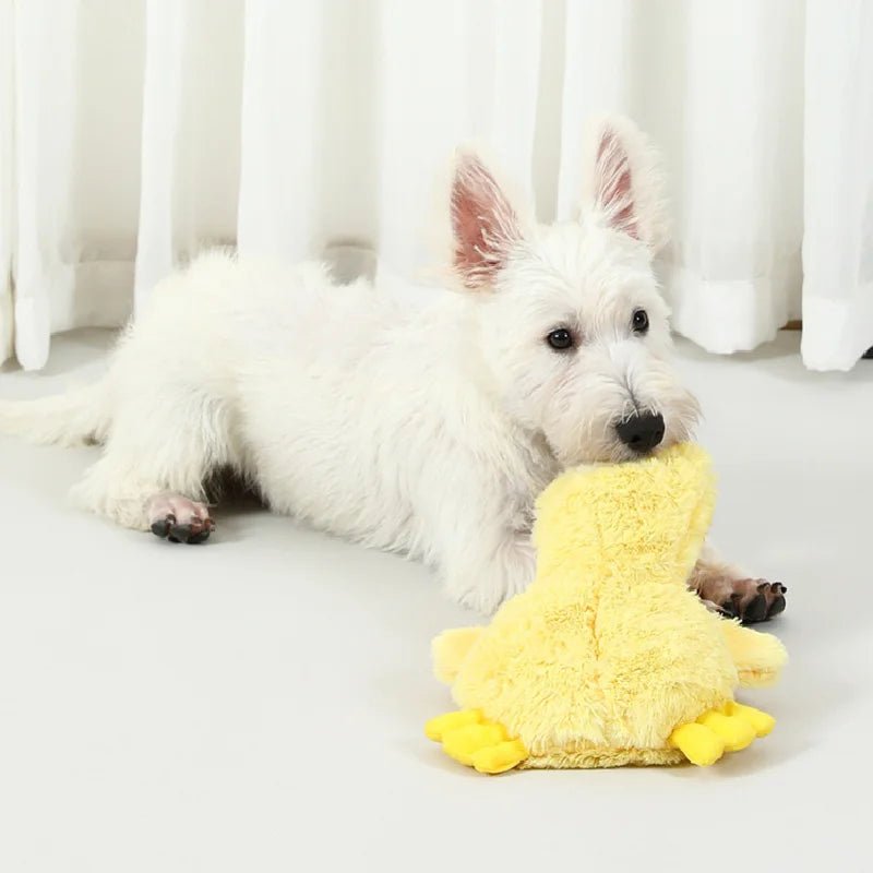 Crinkle Duck for Small, Medium, and Large Breeds - PetLiveliest - PetLiveliest - 互动 - 发出声音 - 可咬