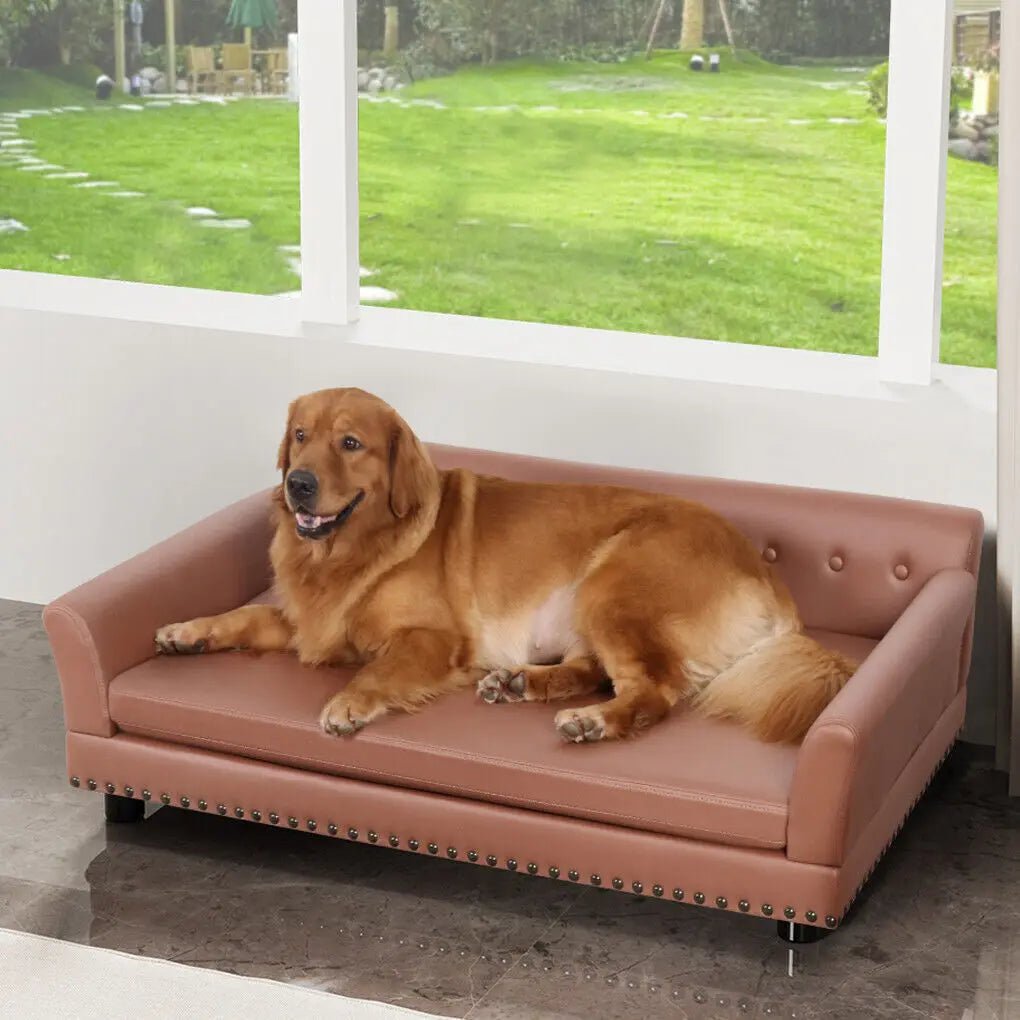 BingoPaw Waterproof Pet Sofa Bed - PetLiveliest - PetLiveliest