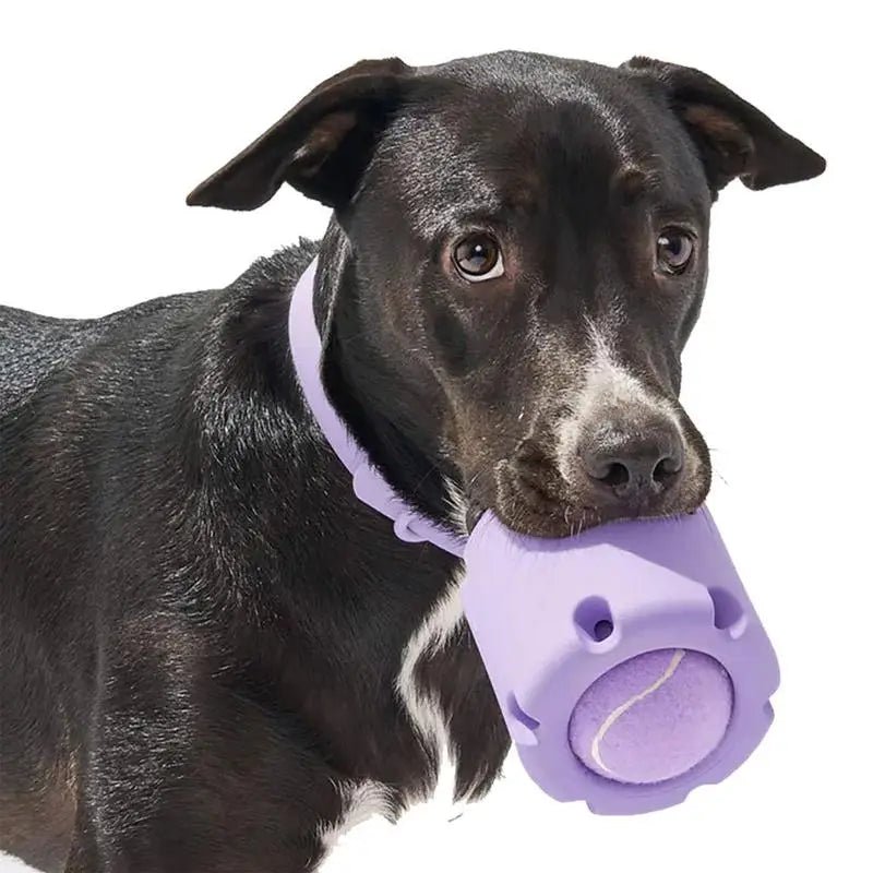 Bite - Resistant Tennis Tumble Dog Toy - PetLiveliest - PetLiveliest