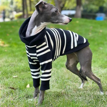 Black - White Striped Hooded Shirt - PetLiveliest - PetLiveliest - 