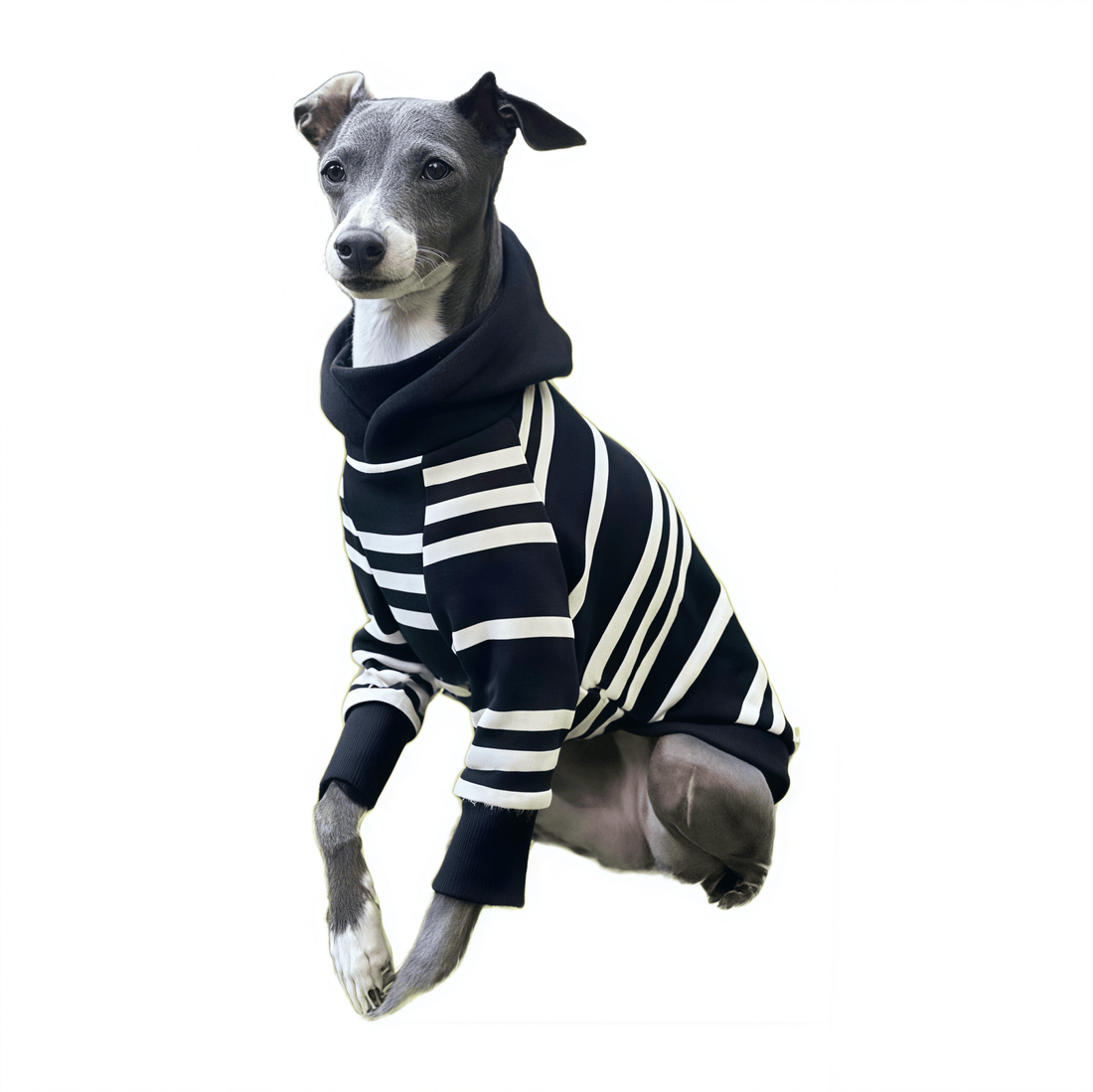 Black - White Striped Hooded Shirt - PetLiveliest - PetLiveliest