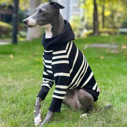 Black - White Striped Hooded Shirt - PetLiveliest - PetLiveliest - 