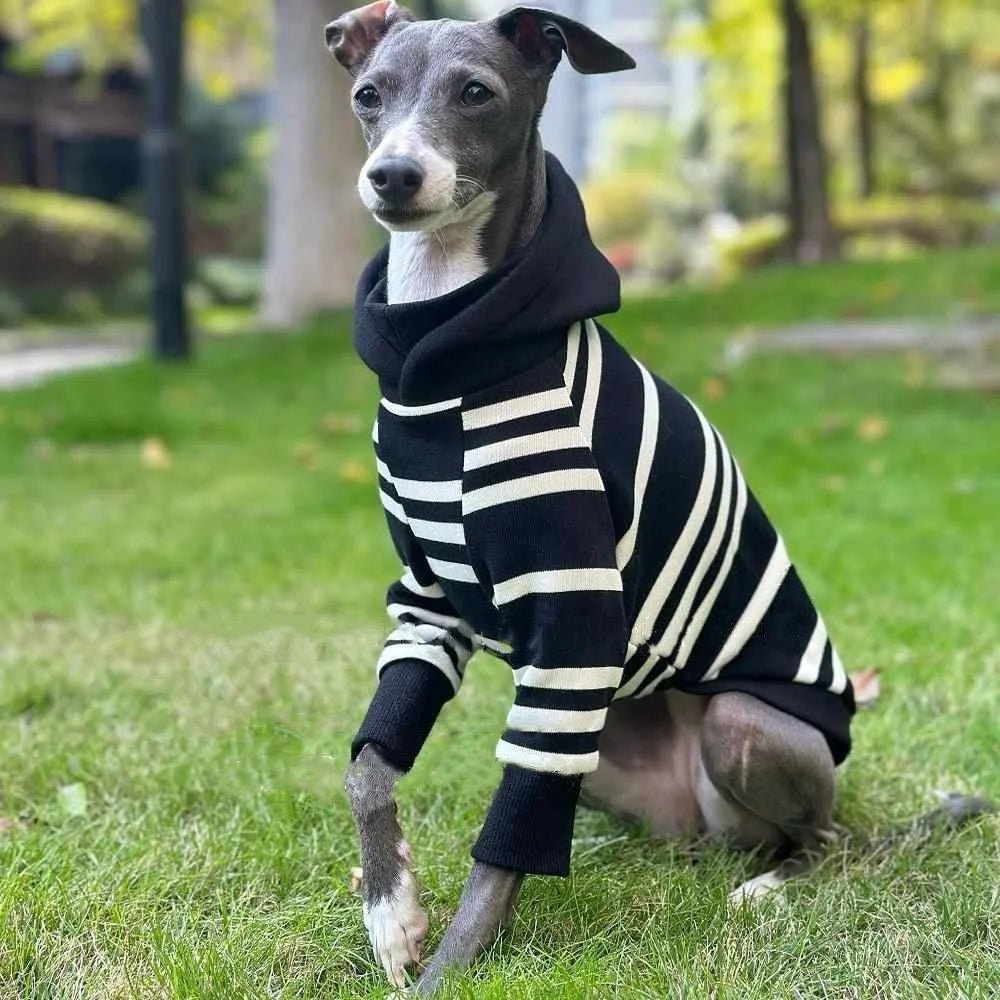 Black - White Striped Hooded Shirt - PetLiveliest - PetLiveliest - 