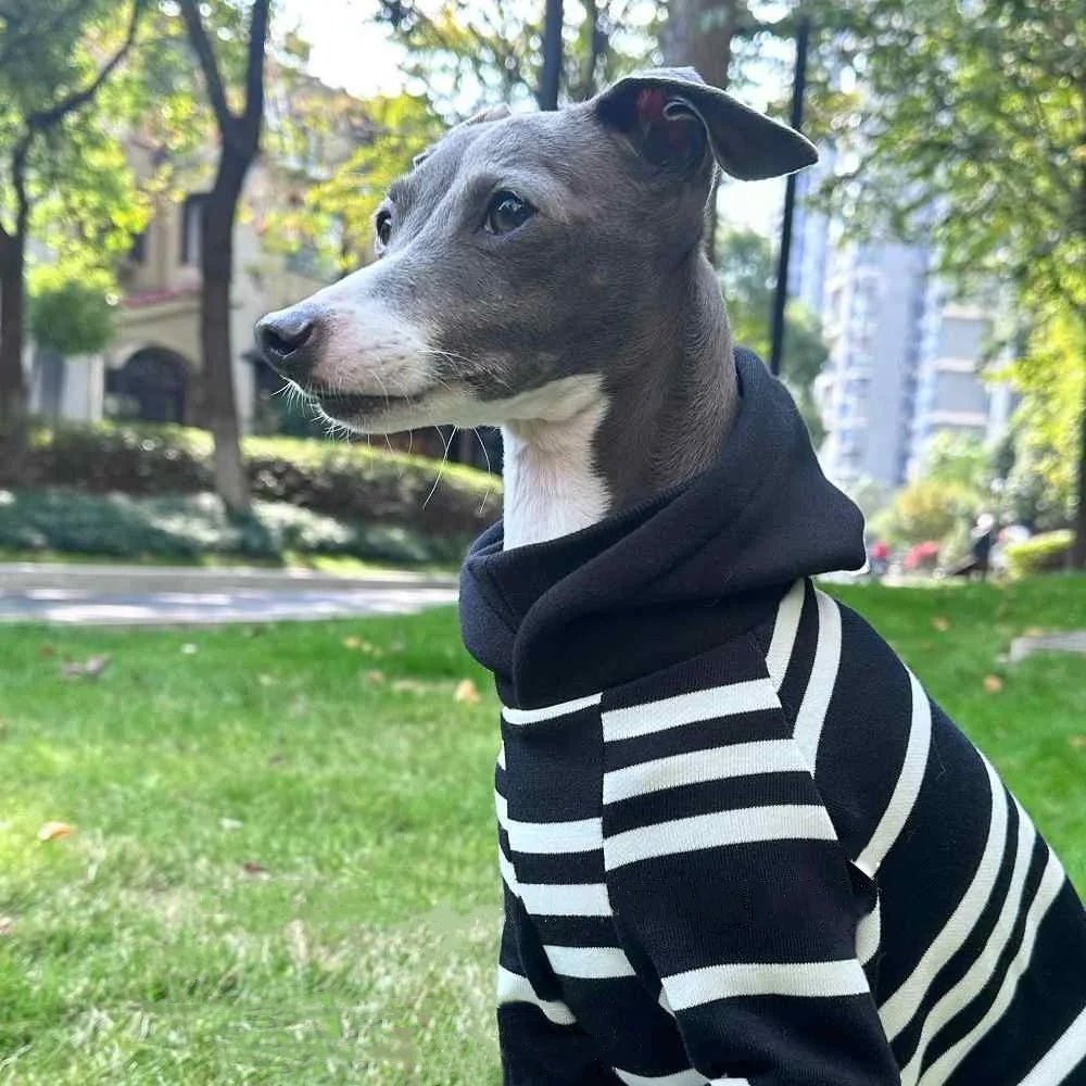 Black - White Striped Hooded Shirt - PetLiveliest - PetLiveliest - 