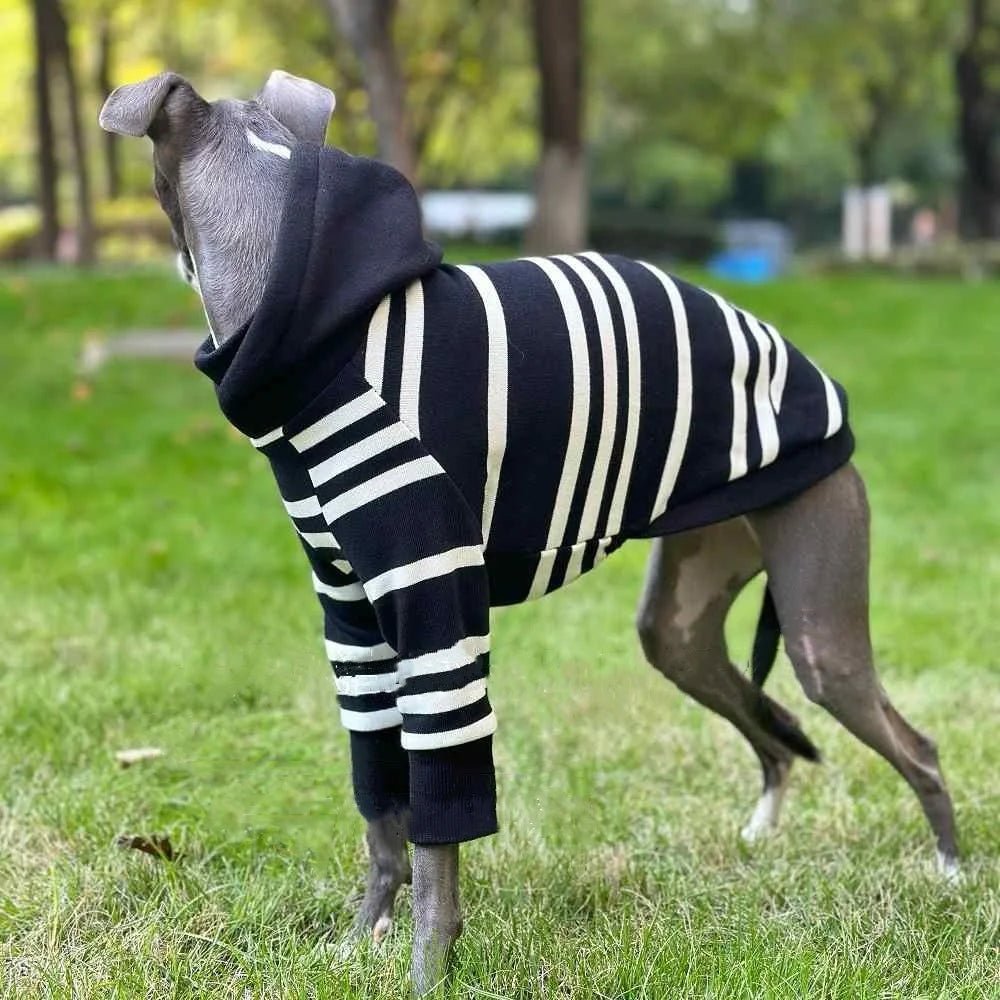 Black - White Striped Hooded Shirt - PetLiveliest - PetLiveliest - 