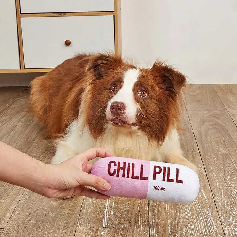 Chill Pill Pet Plush Toy - Vocal Capsule Shape Dog Toy - PetLiveliest - PetLiveliest - 卡通 - 印花 - 毛絨玩具