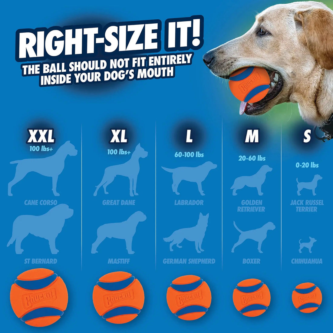 Chuckit! Ultra Dog Toy Ball - PetLiveliest - PetLiveliest