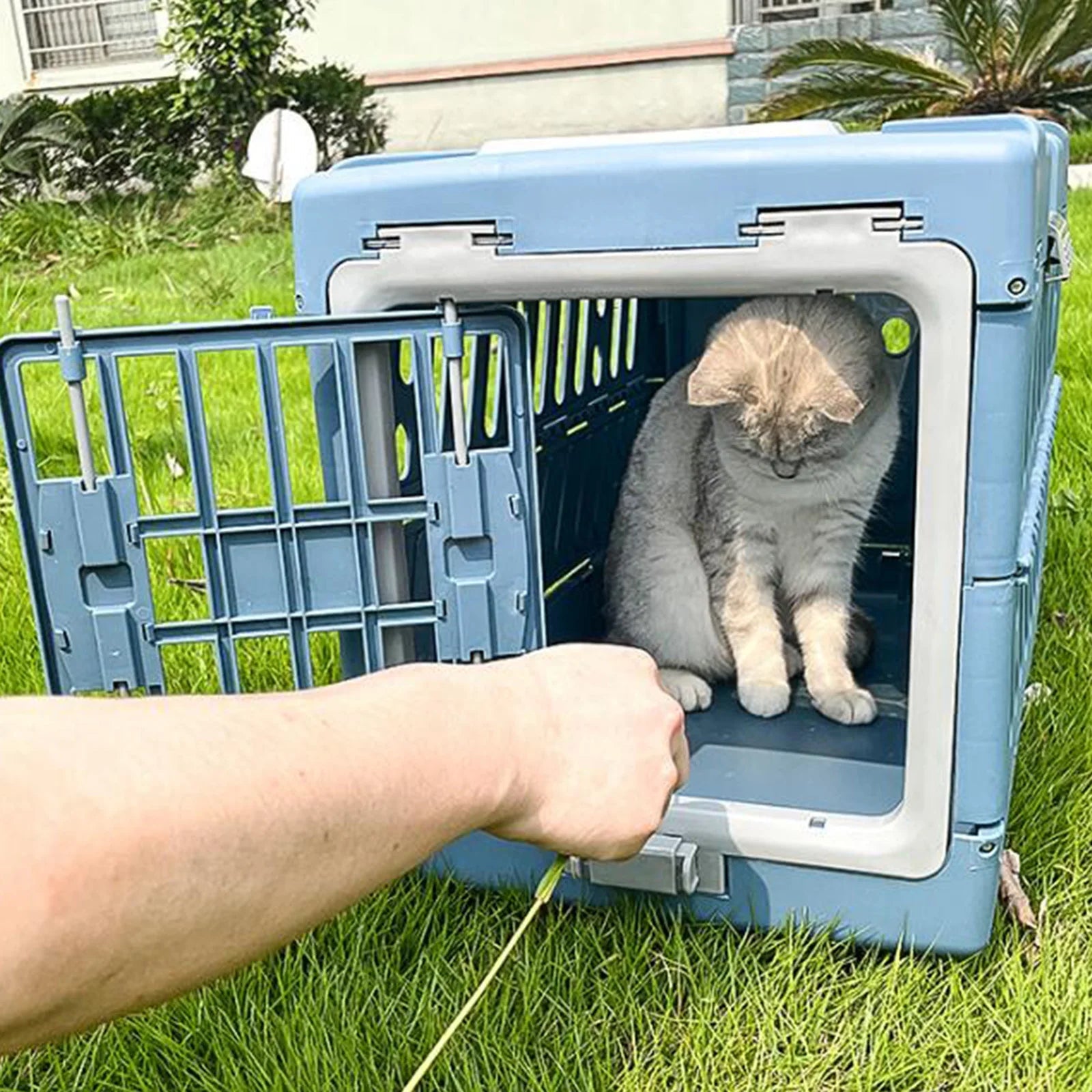 Collapsible Puppy Crate Breathable Foldable Transport Box Travel Cage Pet Carrier - PetLiveliest - PetLiveliest - Breathable - Cat - Collapsible