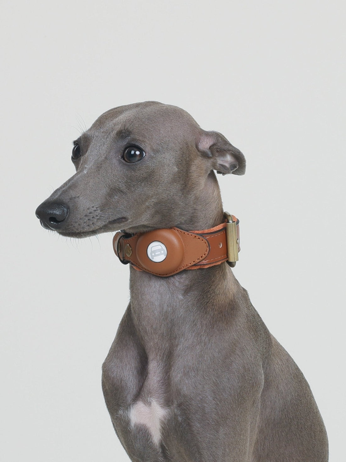 CUSTODIA AirTag COLLAR - BEAR BROWN - PetLiveliest - PetLiveliest