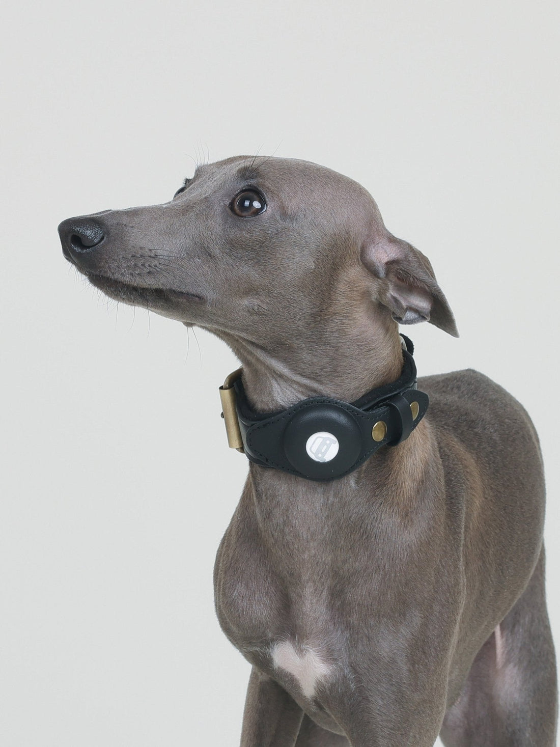 CUSTODIA AirTag COLLAR - JET BLACK - PetLiveliest - PetLiveliest