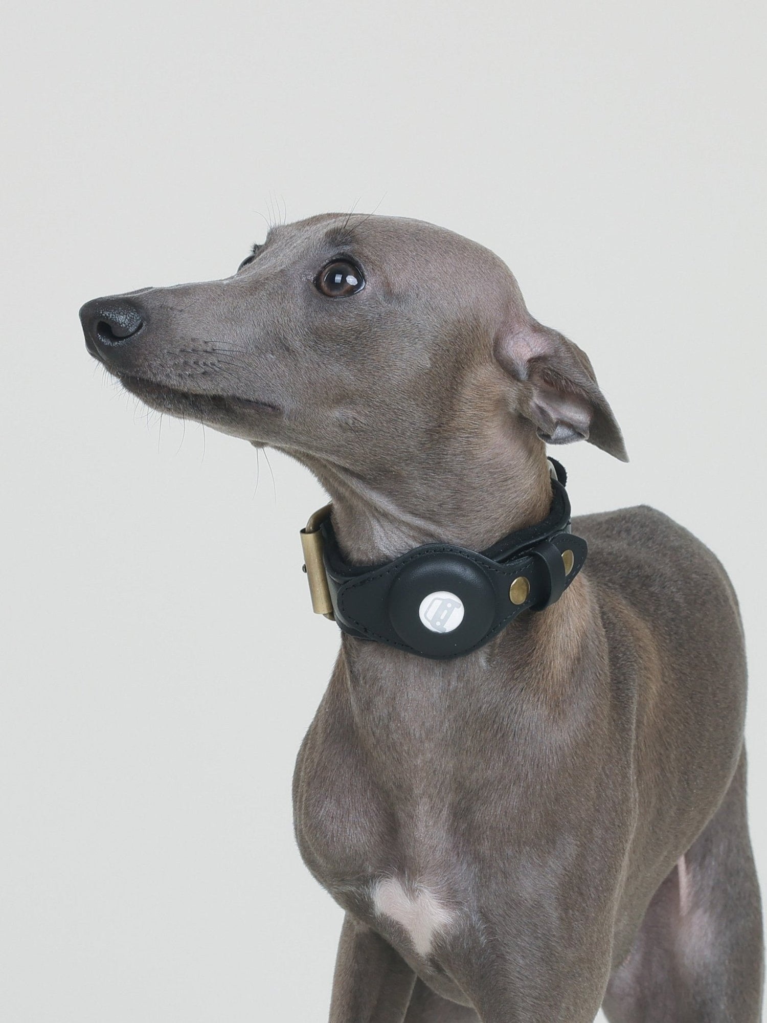 CUSTODIA AirTag COLLAR - JET BLACK - PetLiveliest - PetLiveliest - Car Booster Seat&amp;Collar - Carrier&amp;Collar - Collar