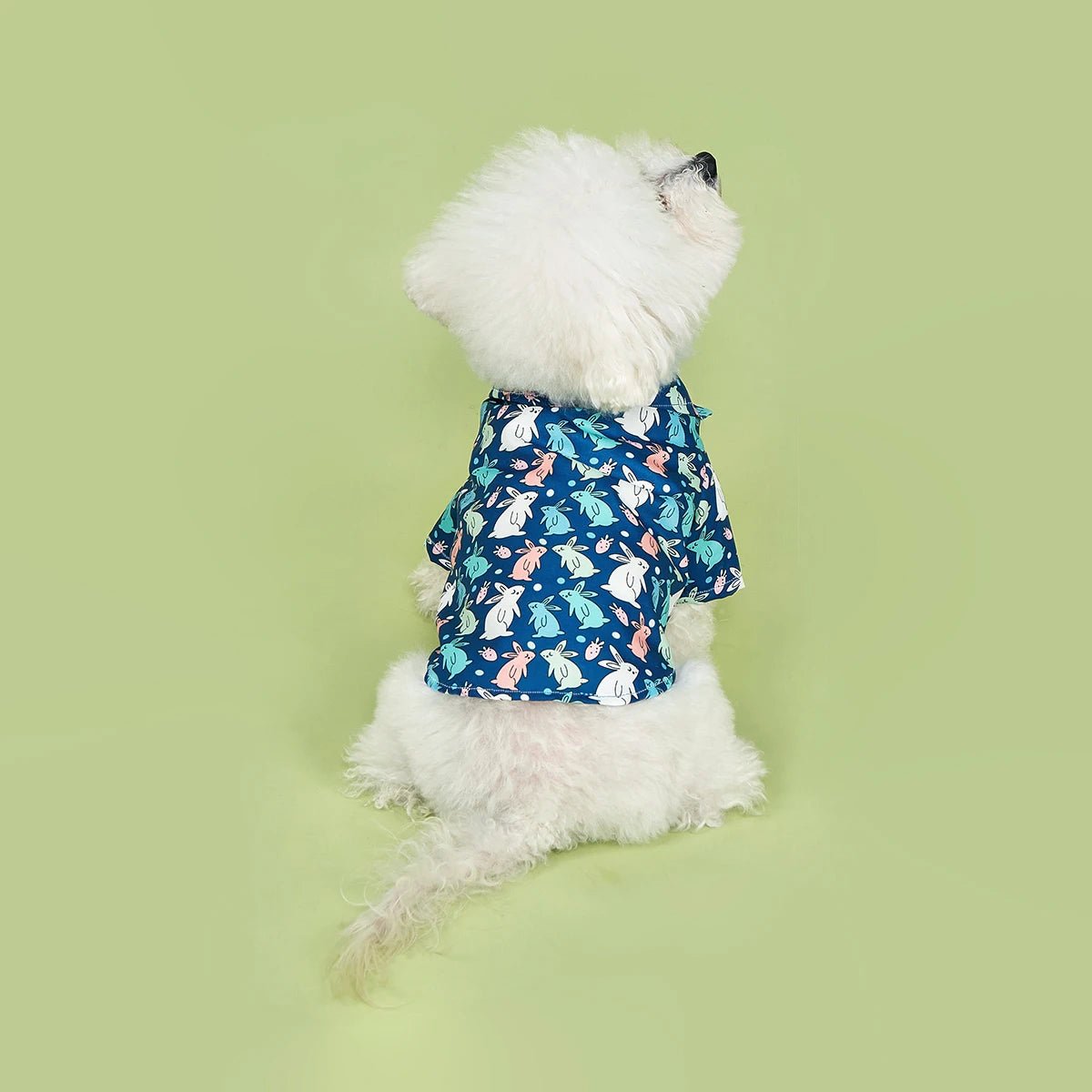 Cute Rabbit Printed Easter Dog Shirt - PetLiveliest - PetLiveliest - 兔子图案 - 可爱 - 复活节