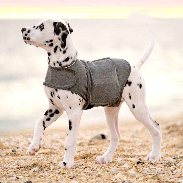 Dog Anxiety Jacket Warm Vest - PetLiveliest - PetLiveliest - Anxiety Jacket - Dog Apparel - Heather Gray