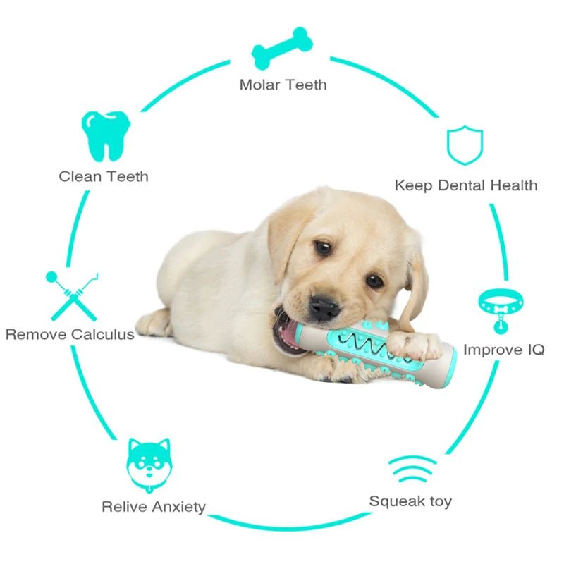 Dog Molar Toothbrush Toys Chew Cleaning Teeth Safe Puppy Dental Care Soft Pet Cleaning Toy Supplies - PetLiveliest - PetLiveliest - 宠物护理 - 宠物牙刷 - 毛绒玩具