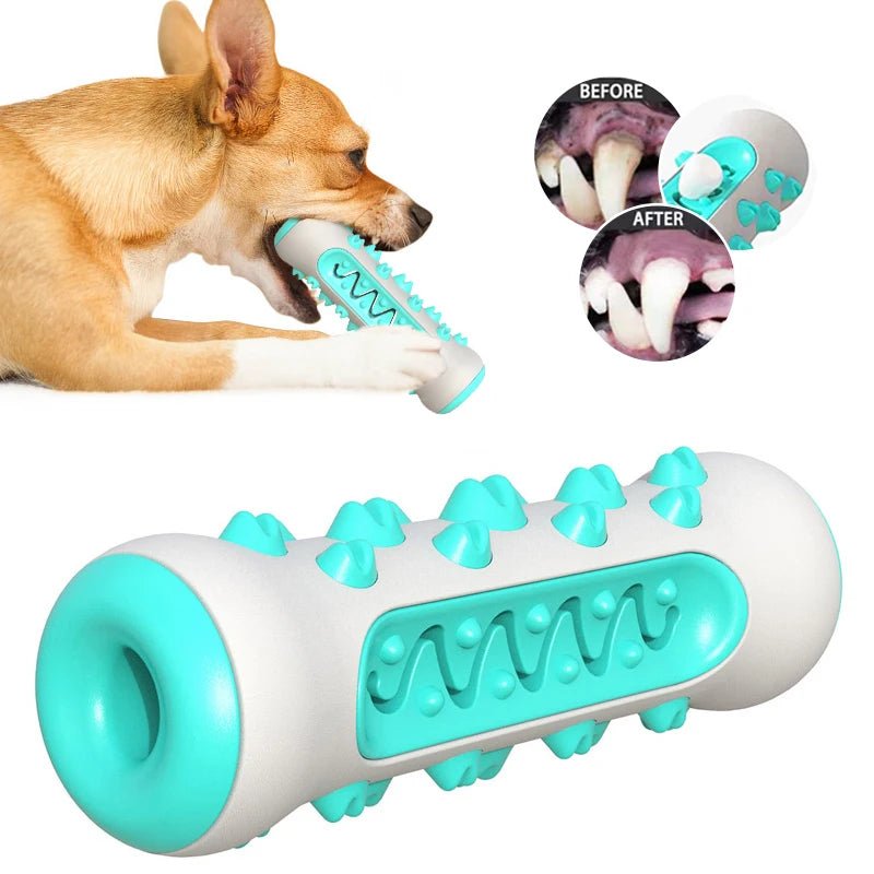 Dog Molar Toothbrush Toy - PetLiveliest - PetLiveliest