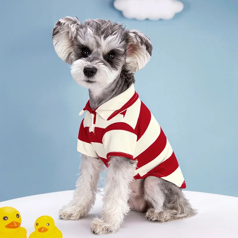 Dog Polo Shirt - Classic Summer Outfit for Small &amp; Large Dogs - PetLiveliest - PetLiveliest - 