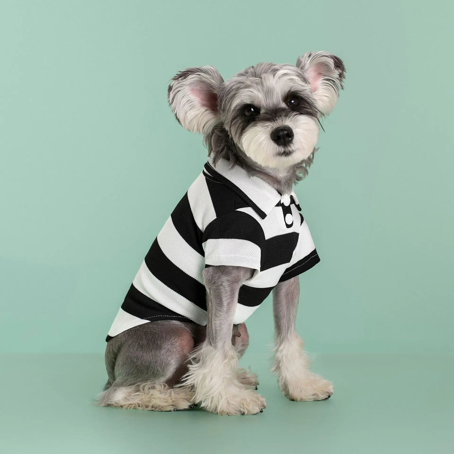 Dog Polo Shirt - Classic Summer Outfit for Small &amp; Large Dogs - PetLiveliest - PetLiveliest - 