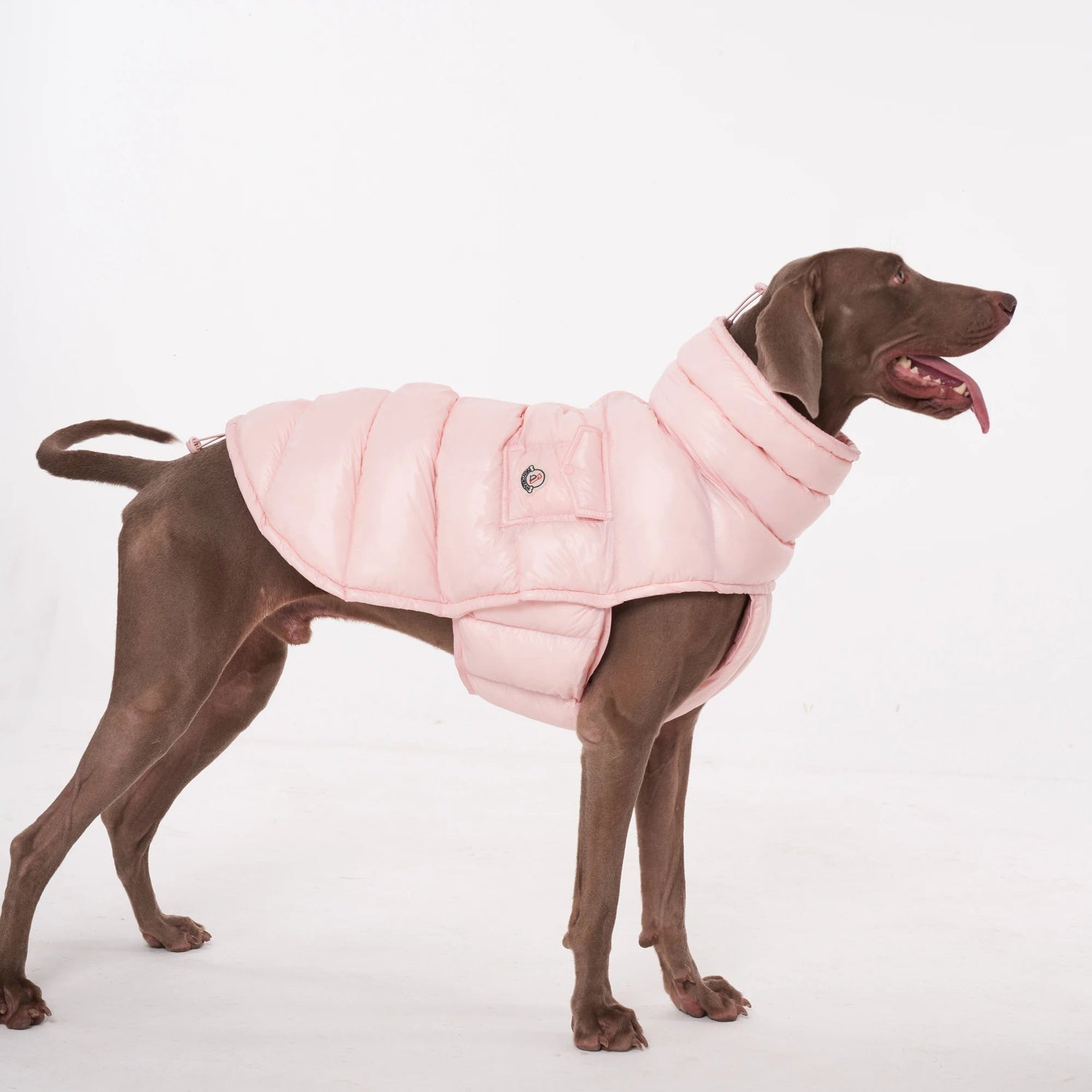 Dog Puffer Vest - Lightweight Warm Jacket for Small &amp; Large Dogs - PetLiveliest - PetLiveliest - 小型犬 - 法斗 - 狗狗