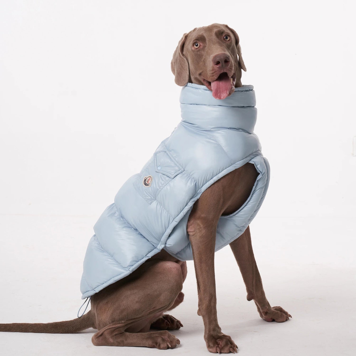 Dog Puffer Vest - Lightweight Warm Jacket for Small &amp; Large Dogs - PetLiveliest - PetLiveliest - 小型犬 - 法斗 - 狗狗