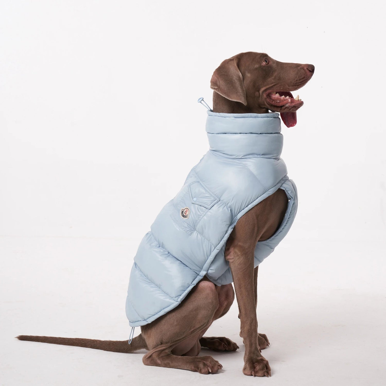 Dog Puffer Vest - Lightweight Warm Jacket for Small &amp; Large Dogs - PetLiveliest - PetLiveliest - 小型犬 - 法斗 - 狗狗