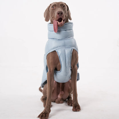 Dog Puffer Vest - Lightweight Warm Jacket for Small &amp; Large Dogs - PetLiveliest - PetLiveliest - 小型犬 - 法斗 - 狗狗