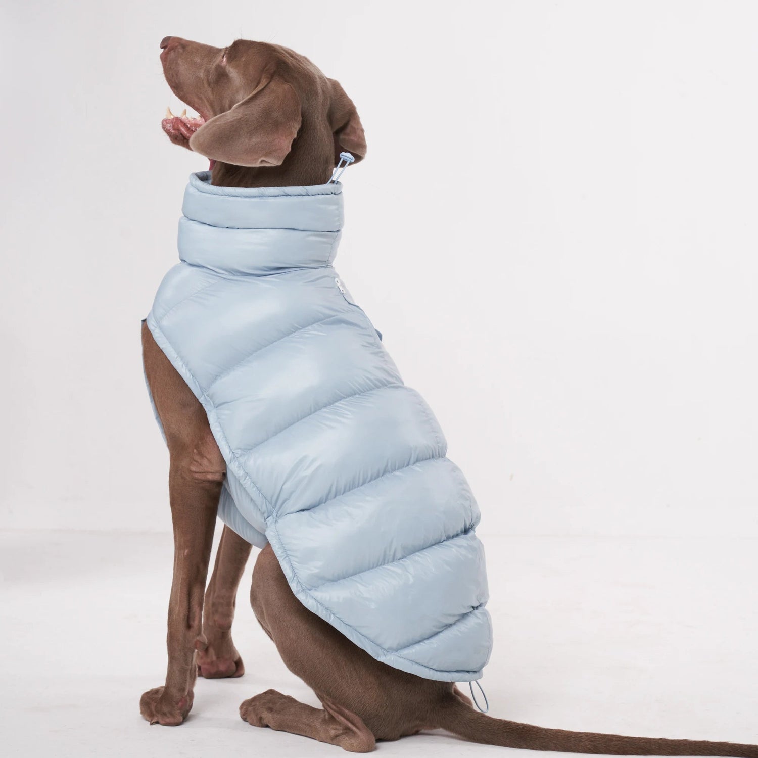 Dog Puffer Vest - Lightweight Warm Jacket for Small &amp; Large Dogs - PetLiveliest - PetLiveliest - 小型犬 - 法斗 - 狗狗