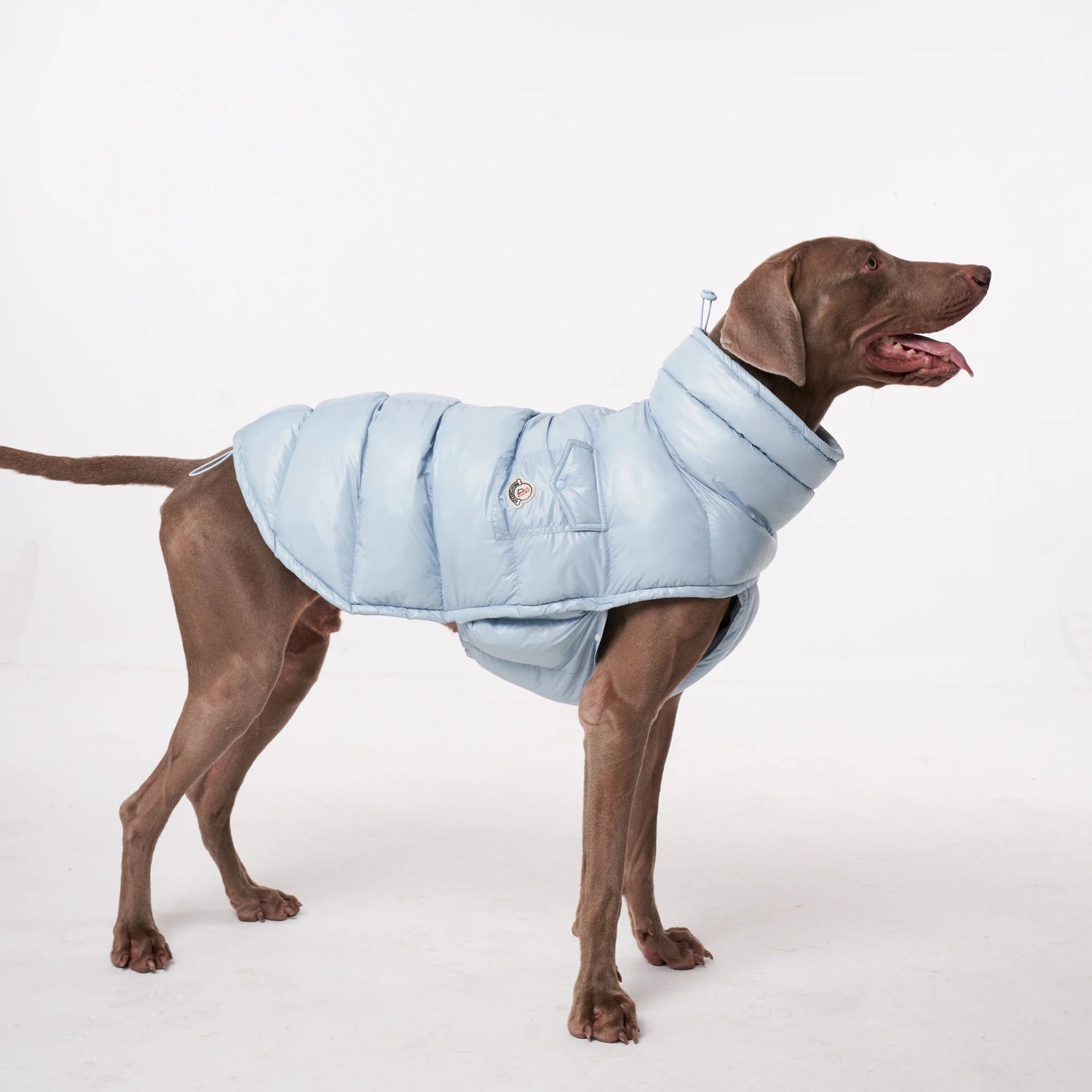 Dog Puffer Vest - Lightweight Warm Jacket for Small &amp; Large Dogs - PetLiveliest - PetLiveliest - 小型犬 - 法斗 - 狗狗