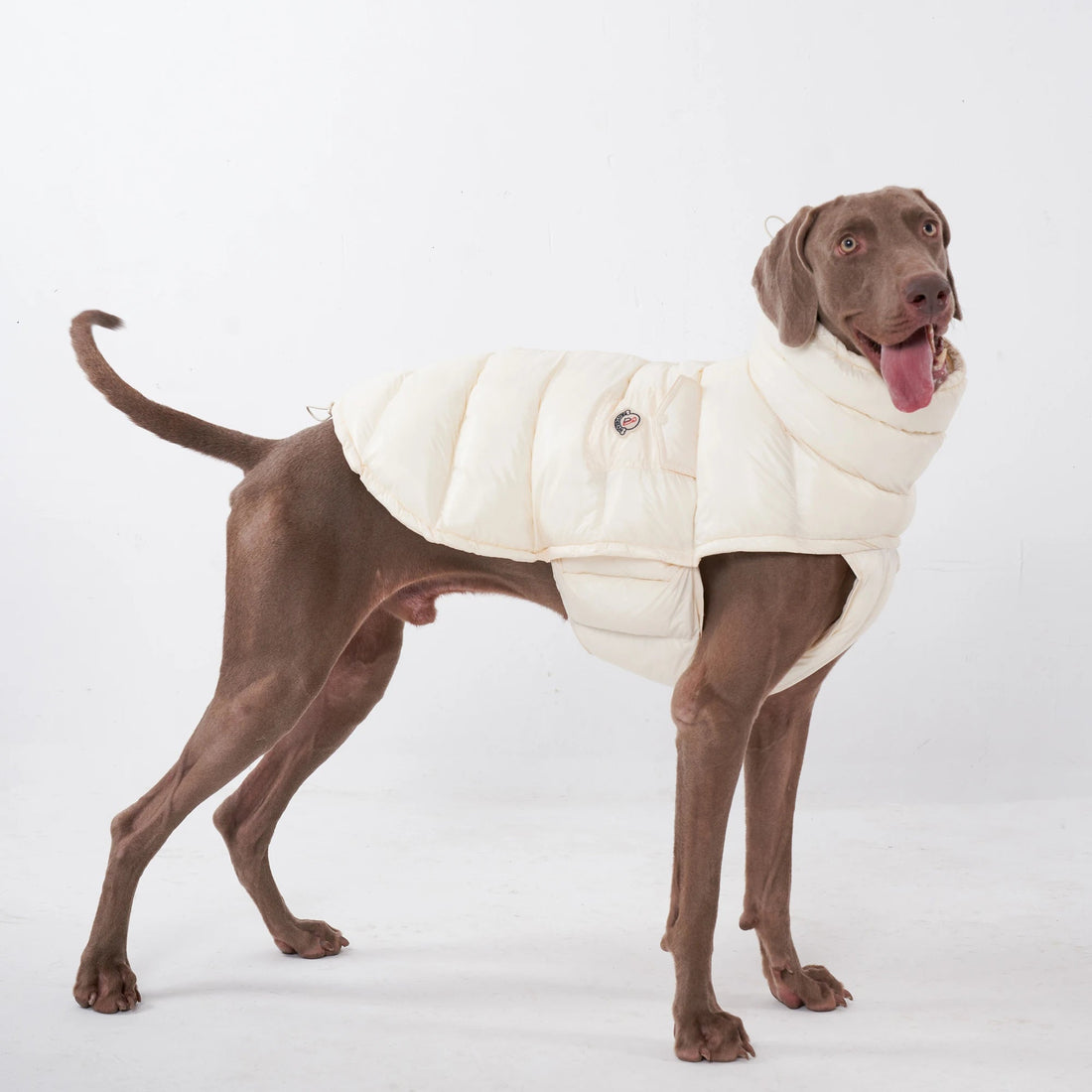 Lightweight Warm Dog Puffer Vest - PetLiveliest - PetLiveliest