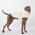 Dog Puffer Vest - Lightweight Warm Jacket for Small & Large Dogs - PetLiveliest - PetLiveliest - 小型犬 - 法斗 - 狗狗